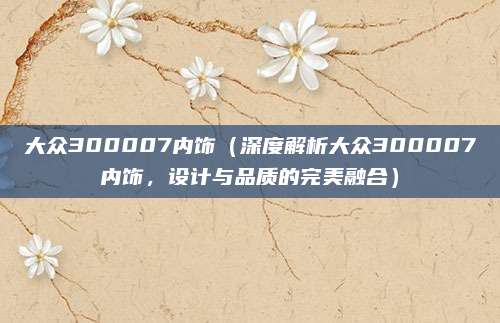 大众300007内饰(深度解析大众300007内饰,设计与品质的完美融合)