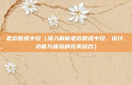 老款傲虎中控（深入解析老款傲虎中控，设计、功能与体验的完美结合）