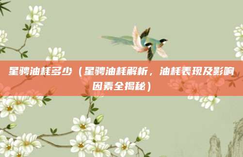星骋油耗多少(星骋油耗解析,油耗表现及影响因素全揭秘)