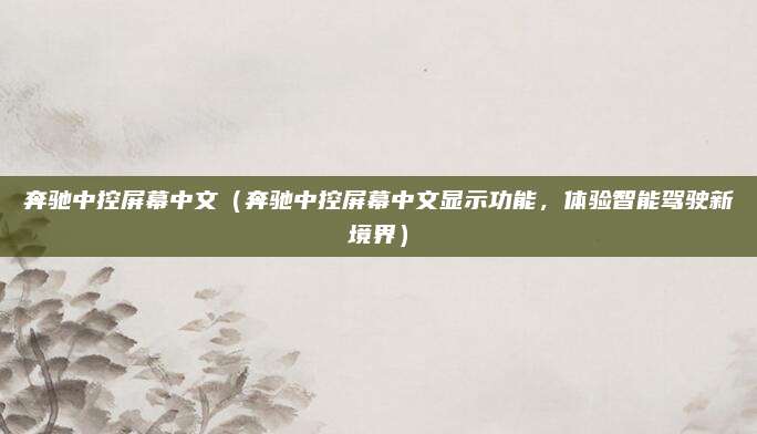 奔驰中控屏幕中文(奔驰中控屏幕中文显示功能,体验智能驾驶新境界)