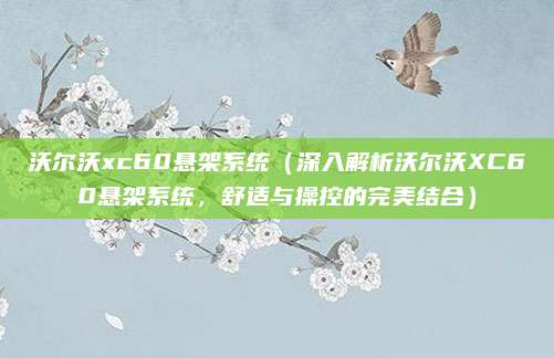 沃尔沃xc60悬架系统(深入解析沃尔沃XC60悬架系统,舒适与操控的完美结合)