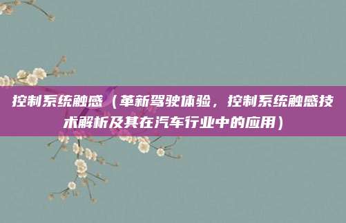 控制系统触感(革新驾驶体验,控制系统触感技术解析及其在汽车行业中的应用)