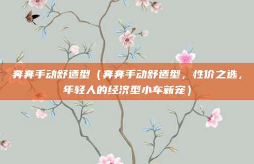 奔奔手动舒适型(奔奔手动舒适型,性价之选,年轻人的经济型小车新宠)