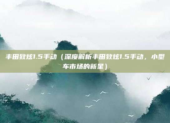 丰田致炫1.5手动(深度解析丰田致炫1.5手动,小型车市场的新星)