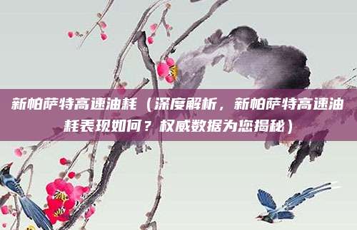 新帕萨特高速油耗(深度解析,新帕萨特高速油耗表现如何?权威数据为您揭秘)