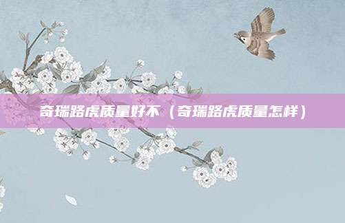 奇瑞路虎质量好不(奇瑞路虎质量怎样)