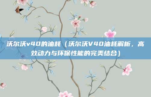 沃尔沃v40的油耗(沃尔沃V40油耗解析,高效动力与环保性能的完美结合)