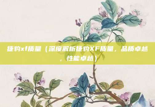 捷豹xf质量(深度解析捷豹XF质量,品质卓越,性能卓越)