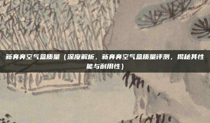新奔奔空气盒质量(深度解析,新奔奔空气盒质量评测,揭秘其性能与耐用性)