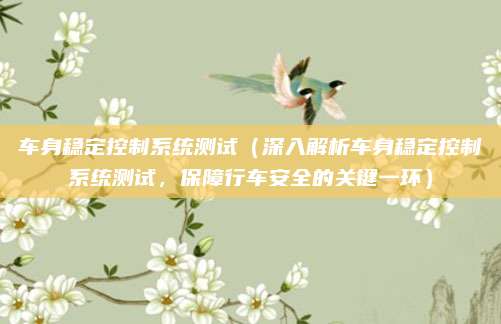 车身稳定控制系统测试（深入解析车身稳定控制系统测试，保障行车安全的关键一环）
