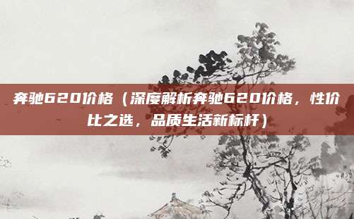 奔驰620价格(深度解析奔驰620价格,性价比之选,品质生活新标杆)