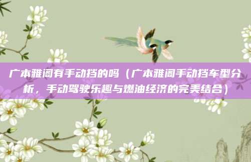 广本雅阁有手动挡的吗（广本雅阁手动挡车型分析，手动驾驶乐趣与燃油经济的完美结合）