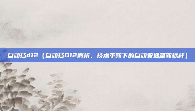 自动挡d12(自动挡D12解析,技术革新下的自动变速箱新标杆)