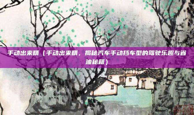 手动出来精（手动出来精，揭秘汽车手动挡车型的驾驶乐趣与省油秘籍）