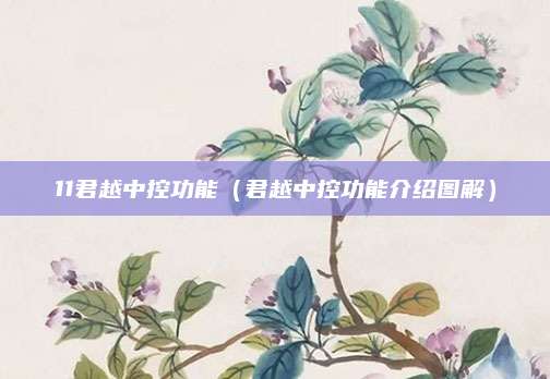 11君越中控功能(君越中控功能介绍图解)
