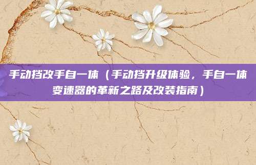手动挡改手自一体（手动挡升级体验，手自一体变速器的革新之路及改装指南）