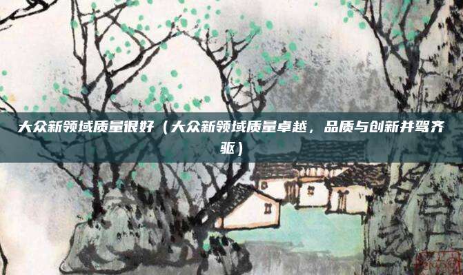 大众新领域质量很好（大众新领域质量卓越，品质与创新并驾齐驱）