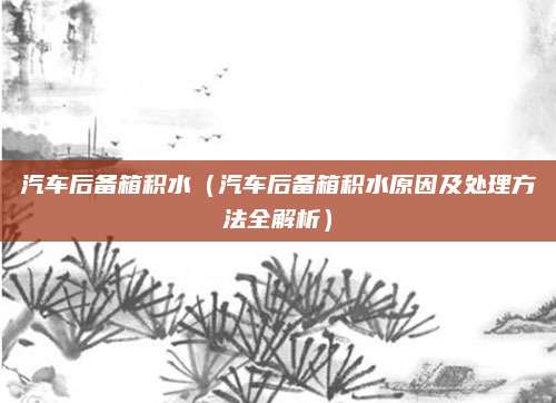 汽车后备箱积水（汽车后备箱积水原因及处理方法全解析）