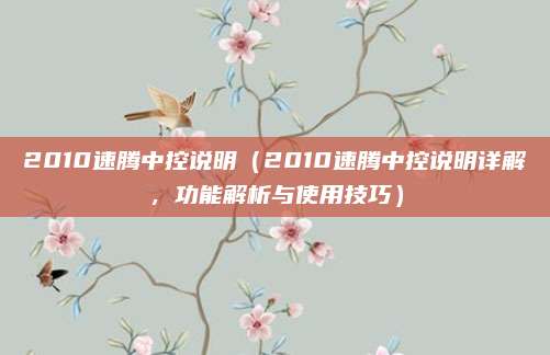 2010速腾中控说明（2010速腾中控说明详解，功能解析与使用技巧）