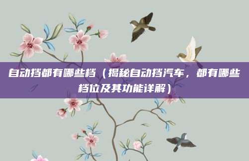 自动挡都有哪些档(揭秘自动挡汽车,都有哪些档位及其功能详解)