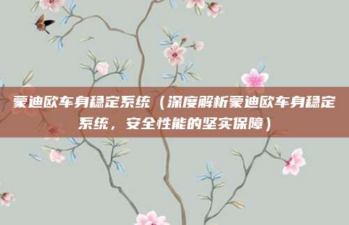 蒙迪欧车身稳定系统(深度解析蒙迪欧车身稳定系统,安全性能的坚实保障)