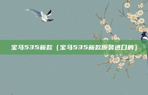 宝马535新款(宝马535新款原装进口的)