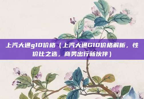 上汽大通g10价格(上汽大通G10价格解析,性价比之选,商务出行新伙伴)