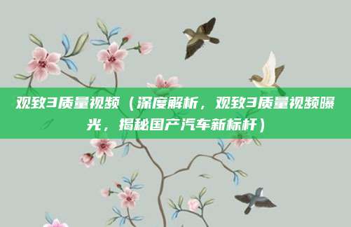 观致3质量视频（深度解析，观致3质量视频曝光，揭秘国产汽车新标杆）