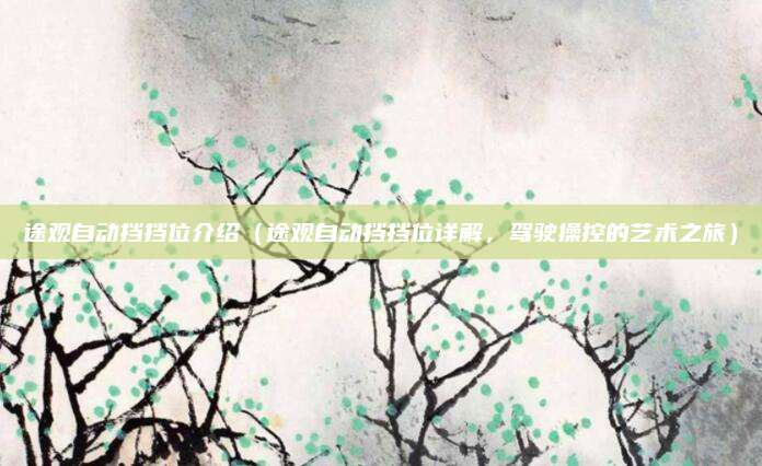 途观自动挡挡位介绍(途观自动挡挡位详解,驾驶操控的艺术之旅)