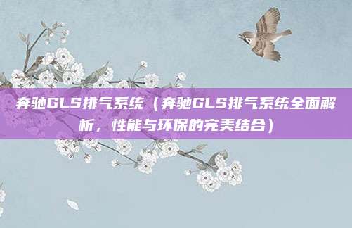 奔驰GLS排气系统(奔驰GLS排气系统全面解析,性能与环保的完美结合)