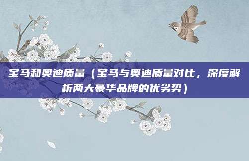 宝马和奥迪质量(宝马与奥迪质量对比,深度解析两大豪华品牌的优劣势)