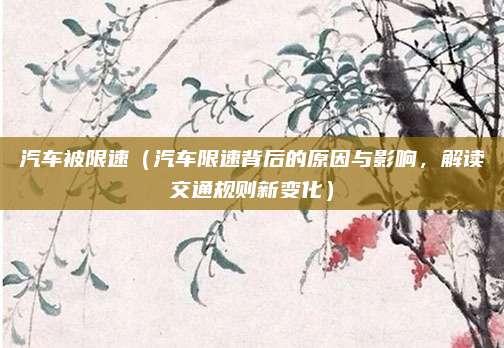 汽车被限速(汽车限速背后的原因与影响,解读交通规则新变化)
