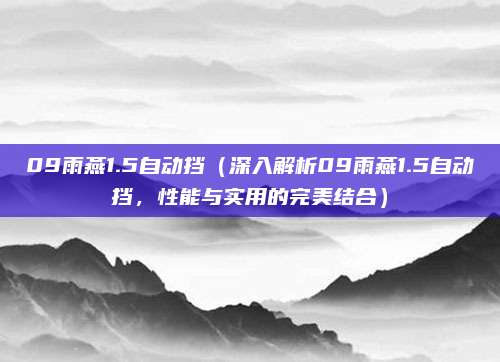 09雨燕1.5自动挡(深入解析09雨燕1.5自动挡,性能与实用的完美结合)