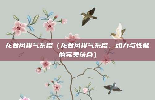 龙卷风排气系统（龙卷风排气系统，动力与性能的完美结合）