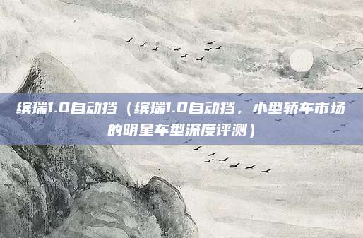 缤瑞1.0自动挡(缤瑞1.0自动挡,小型轿车市场的明星车型深度评测)