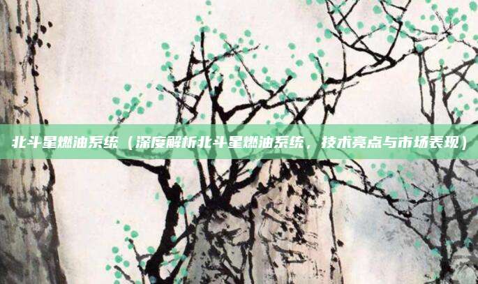北斗星燃油系统(深度解析北斗星燃油系统,技术亮点与市场表现)