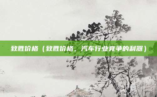 致胜价格（致胜价格，汽车行业竞争的利器）