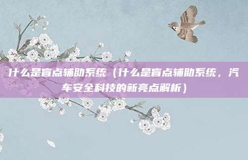 什么是盲点辅助系统（什么是盲点辅助系统，汽车安全科技的新亮点解析）