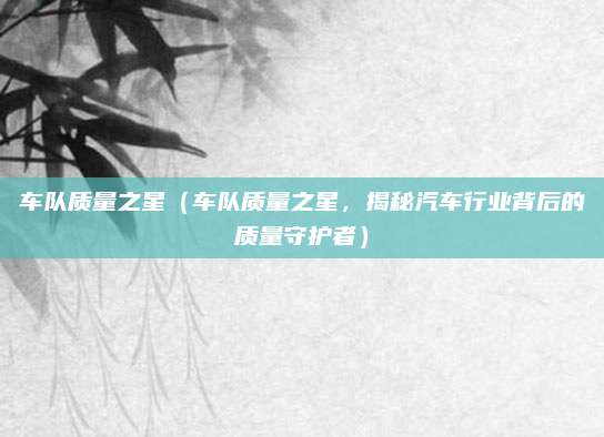 车队质量之星(车队质量之星,揭秘汽车行业背后的质量守护者)