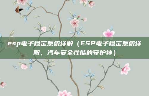 esp电子稳定系统详解(ESP电子稳定系统详解,汽车安全性能的守护神)