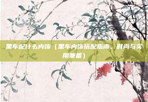 黑车配什么内饰(黑车内饰搭配指南,时尚与实用兼备)