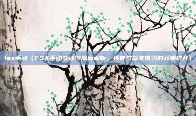 fsx手动(FSX手动变速器深度解析,性能与驾驶体验的双重提升)