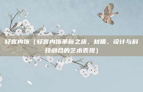轻客内饰(轻客内饰革新之旅,材质、设计与科技融合的艺术表现)