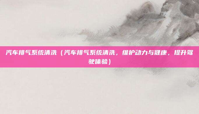 汽车排气系统清洗（汽车排气系统清洗，维护动力与健康，提升驾驶体验）