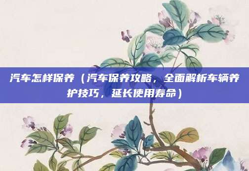 汽车怎样保养（汽车保养攻略，全面解析车辆养护技巧，延长使用寿命）