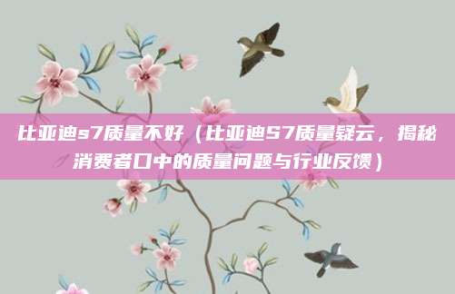 比亚迪s7质量不好(比亚迪S7质量疑云,揭秘消费者口中的质量问题与行业反馈)