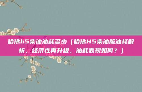 哈佛h5柴油油耗多少(哈佛H5柴油版油耗解析,经济性再升级,油耗表现如何?)