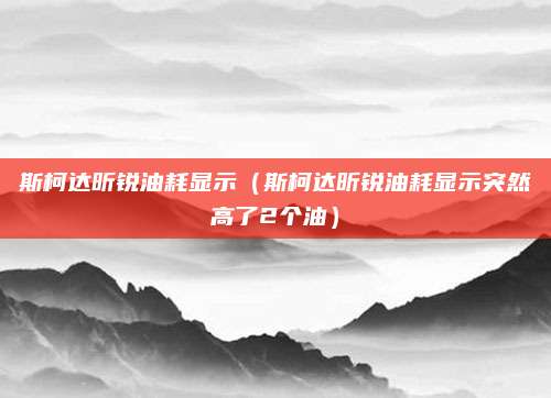 斯柯达昕锐油耗显示(斯柯达昕锐油耗显示突然高了2个油)