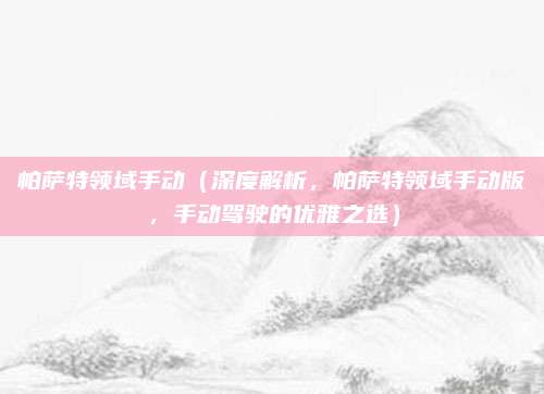 帕萨特领域手动(深度解析,帕萨特领域手动版,手动驾驶的优雅之选)