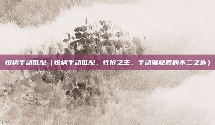 悦纳手动低配(悦纳手动低配,性价之王,手动驾驶者的不二之选)